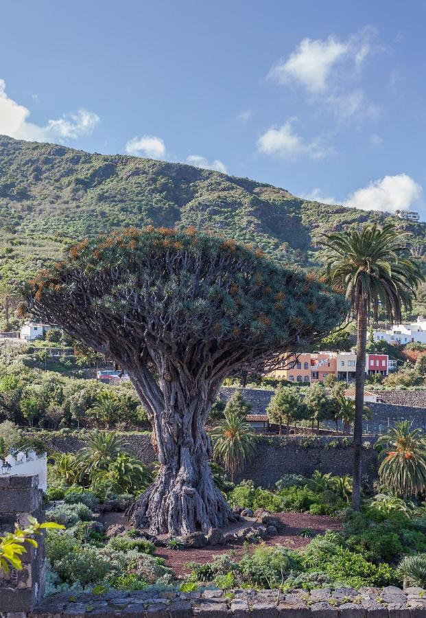 Terraza Centrico Pueblo Aparcamiento Cerca Apartman Icod de los Vinos Kültér fotó